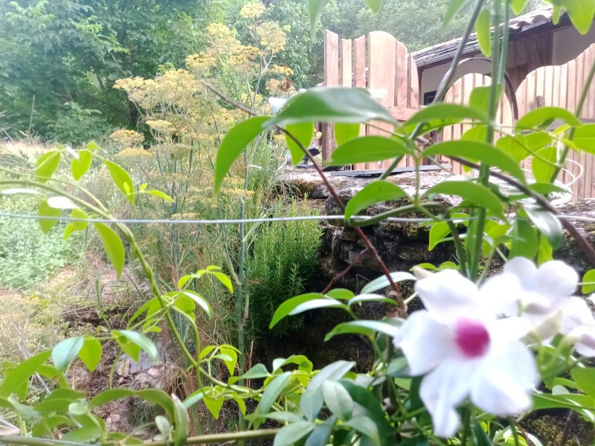 Beautiful apartment Casa o Rio in Ribeira sacra ES Castro Caldelas Exterior foto